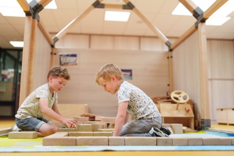 Puur Verbeeld - Petrus Immens - HR -41-